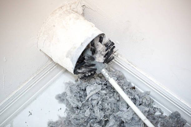 Best Air Duct Sanitizing Services  in Carbon Hill, AL